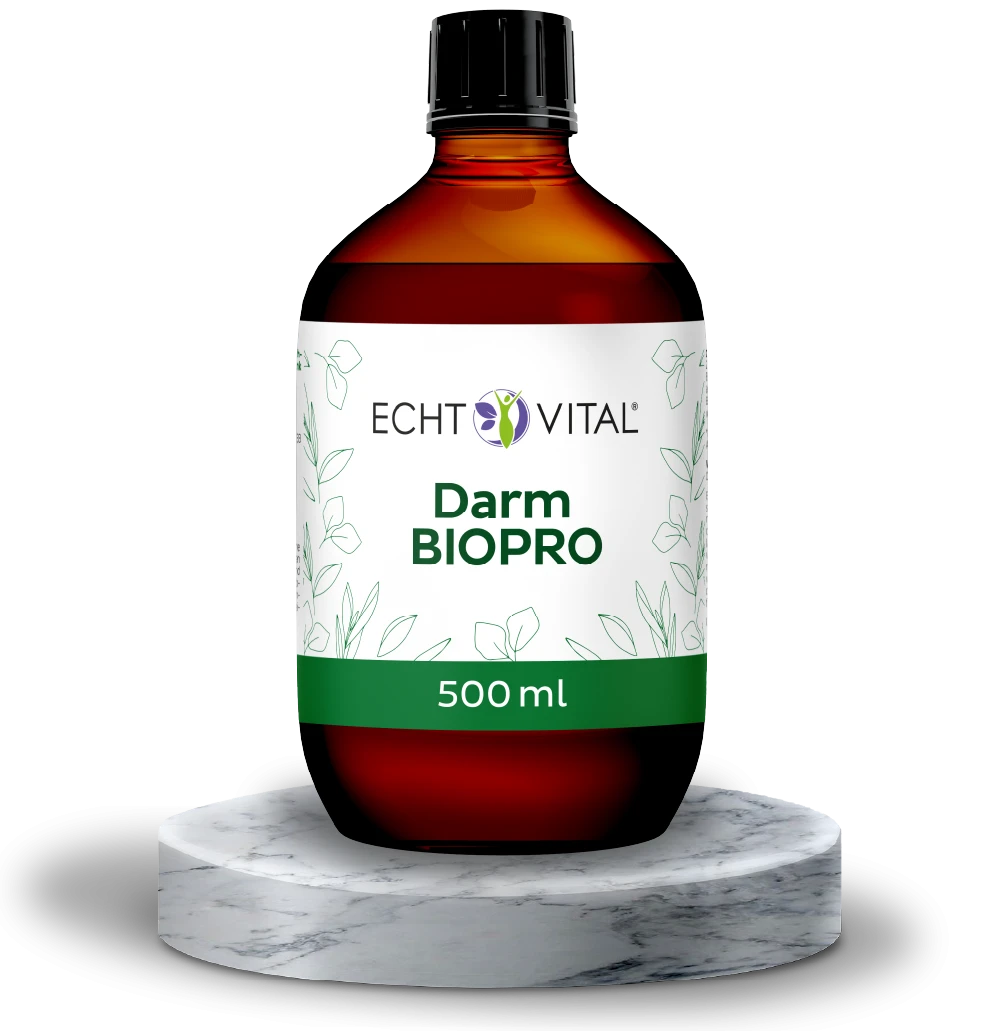 Darm Biopro Fermentgetränk