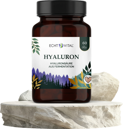 Hyaluron aus Fermentation