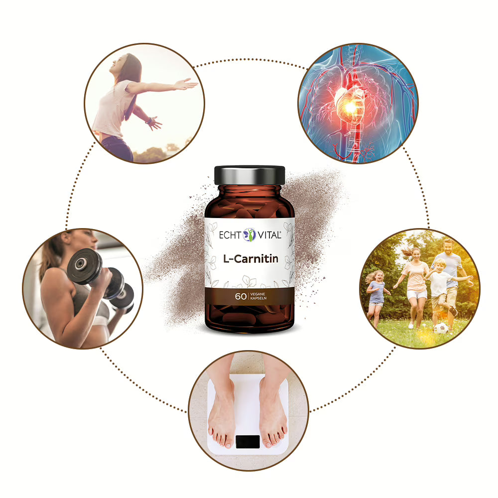 L-Carnitin aus pflanzlicher Fermentation