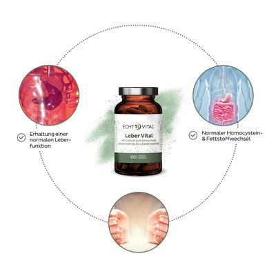 Leber Vital mit 9 Pflanzenstoffen