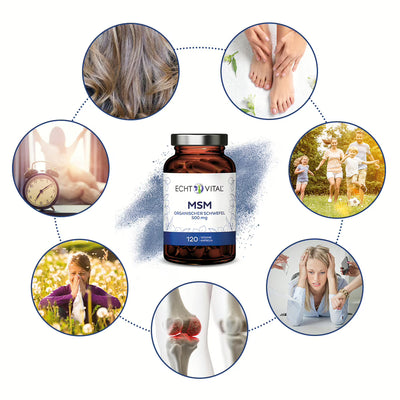 MSM Kapseln - organischer Schwefel