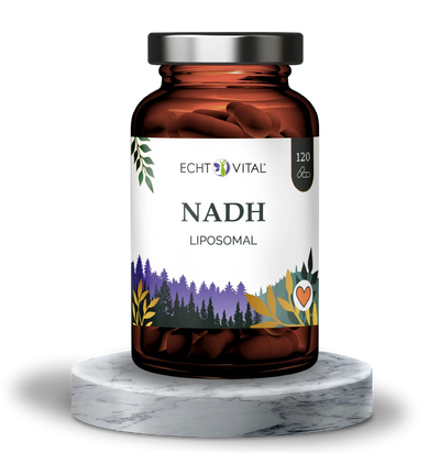 NADH Liposomal - reduzierte Form von NMN