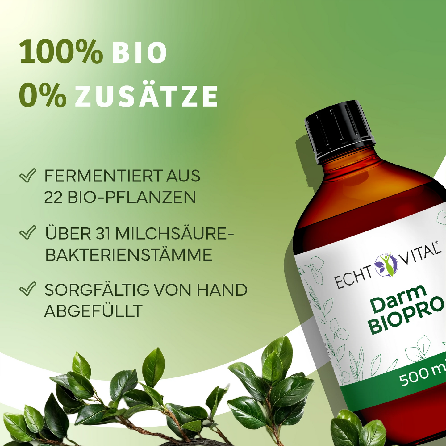 Darm Biopro Fermentgetränk