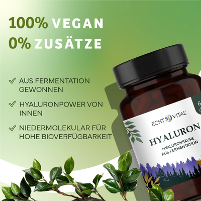 Hyaluron aus Fermentation