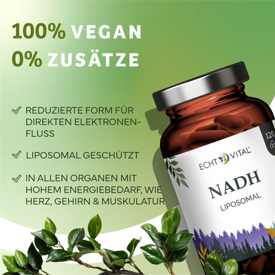 NADH Liposomal - reduzierte Form von NMN