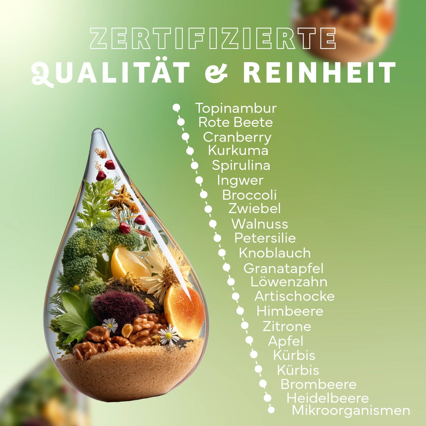 Darm Biopro Fermentgetränk
