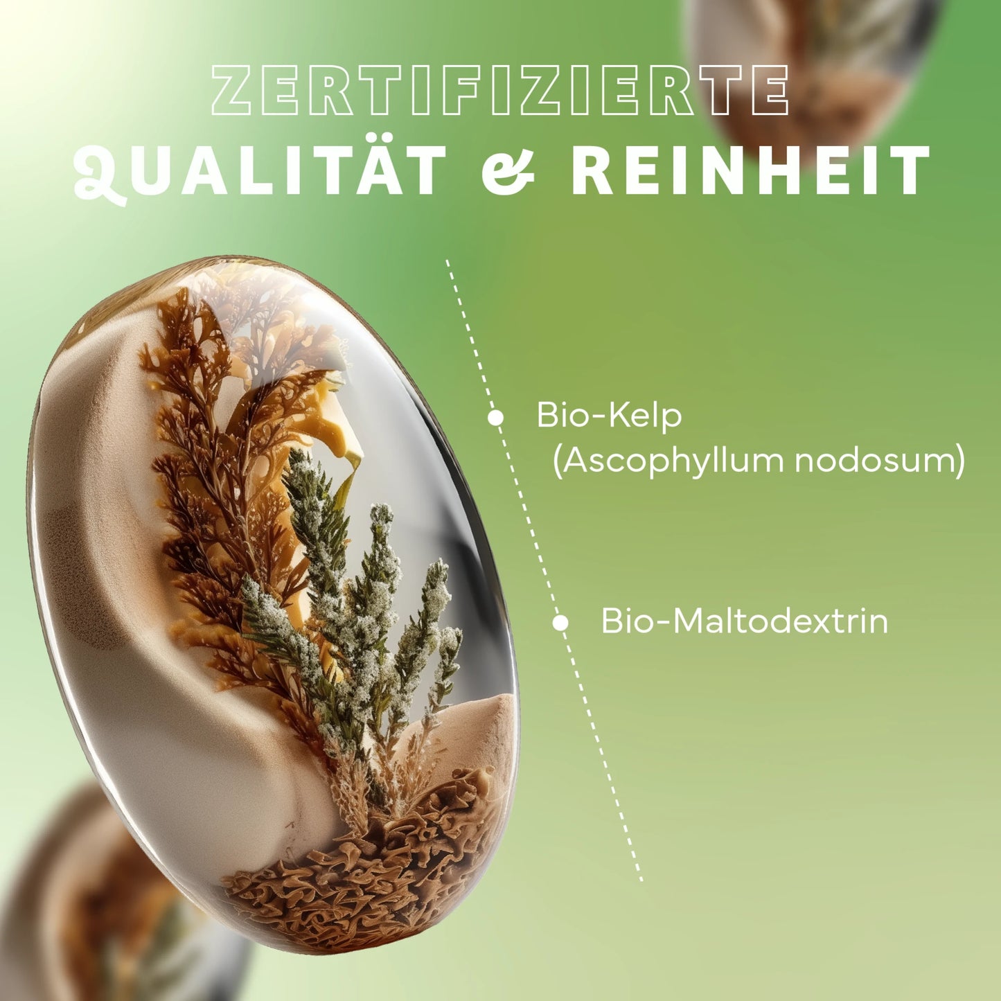 Jod aus Bio Kelp