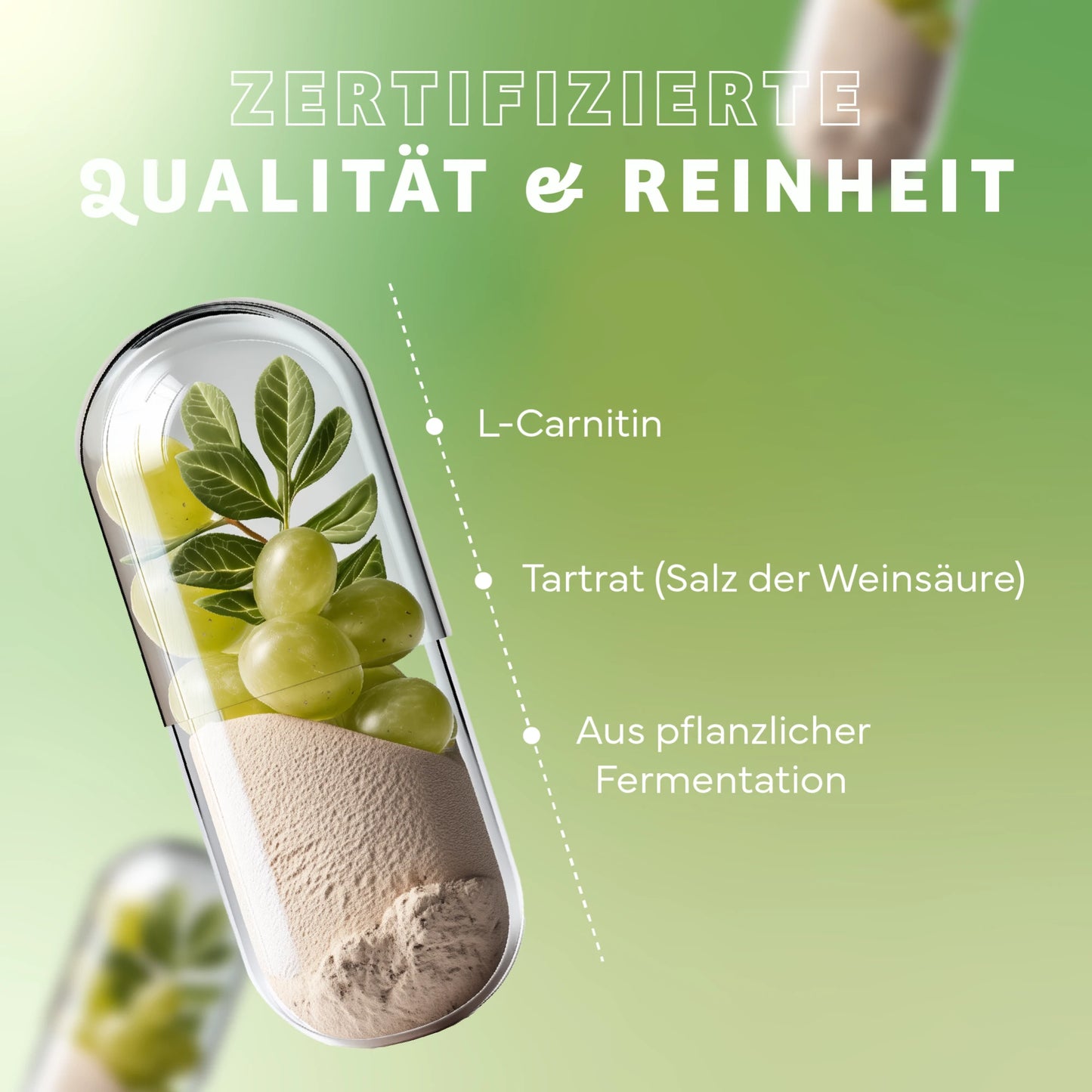 L-Carnitin aus pflanzlicher Fermentation