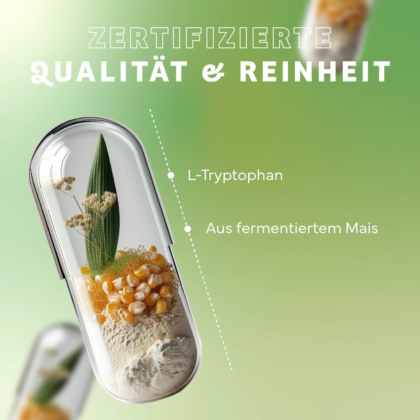 L-Tryptophan aus pflanzlicher Fermentation