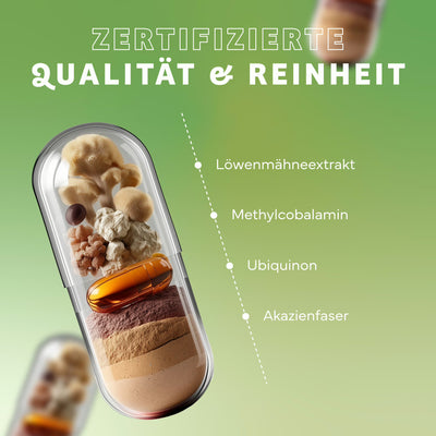 Löwenmähne Komplex mit Löwenmähne Extrakt, Q10 und B12