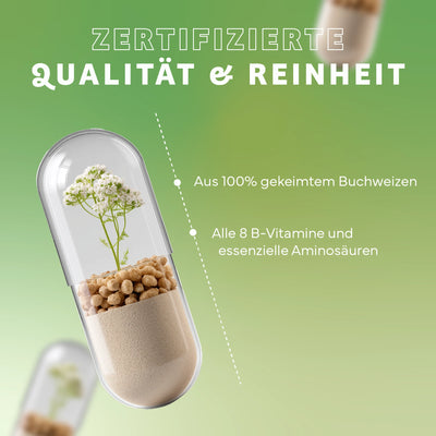 Vitamin B Komplex natürlich